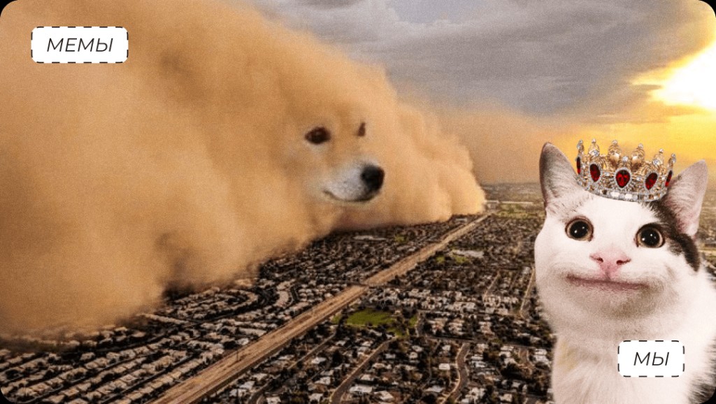 Мемы и Мы